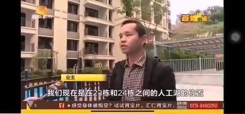 武汉楼市爆料老徐视频,老徐视频深度剖析楼市动态